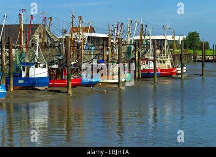 shrimp boats in harbour at low tide, Germany, Lower Saxony, Fedderwardersiel Stock Photo