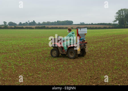 Young male farmer wearing protective mask spray crop in field Stock Photo