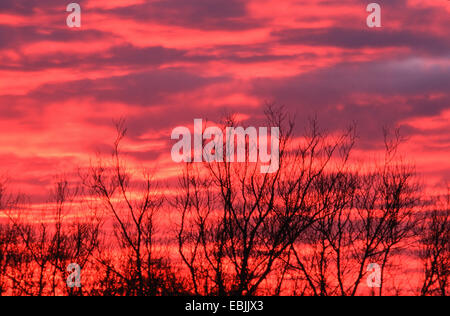 afterglow, Germany, Hesse Stock Photo