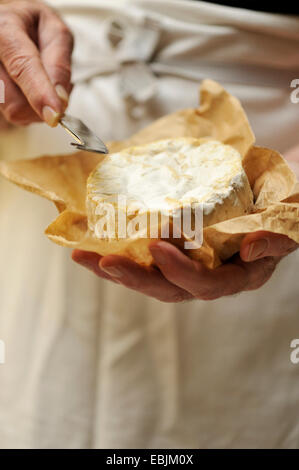 Man holding goats cheese and cheese knife, focus on hands Stock Photo