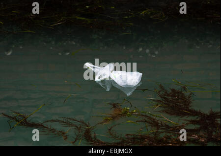 Venice, Italy. A supermarket plastic bag floating in a canal Stock Photo