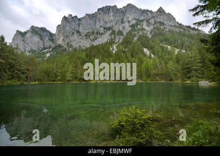 mountain lake in front of looming mountain range in spring, Austria, Styria, Gruener See Stock Photo