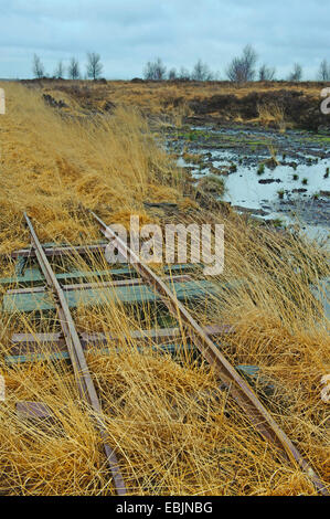 track of the moor railway transporting the cut peat, Germany, Lower Saxony, Goldenstedt Stock Photo