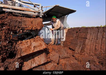 peat cutter at work in the Goldenstedter Moor, Germany, Lower Saxony, Goldenstedt Stock Photo