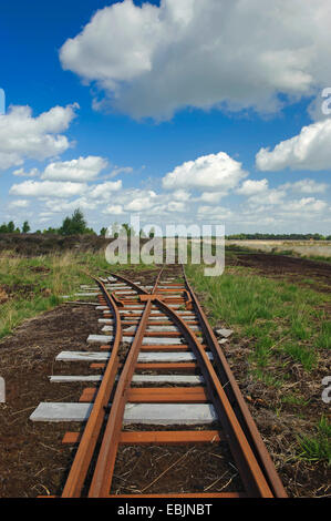 track of the moor railway transporting the cut peat, Germany, Lower Saxony, Goldenstedt Stock Photo