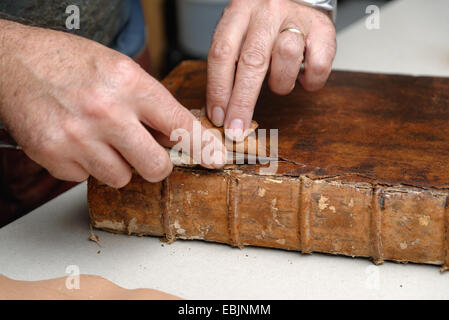 Close up of hands of senior male traditional bookbinder removing leather from book Stock Photo