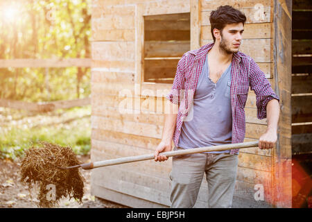 Young male farmer cleaning out stable, Premosello, Verbania, Piemonte, Italy Stock Photo