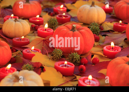 Digital painting of a burning candle in colour background. The