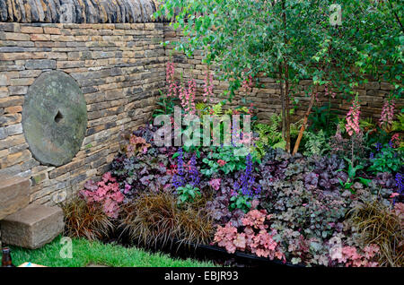 The planted border with mixed planting including Heuchera and Salvia in the Peak Reflections garden Stock Photo