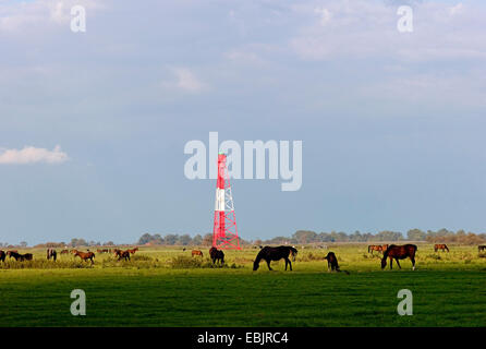 lighthouse on Weser river island Harriersand, Germany, Lower Saxony, Osterholz-Scharmbeck Stock Photo