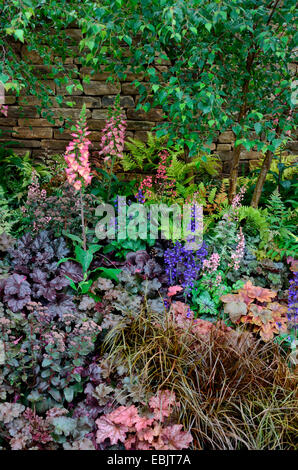 The planted border with mixed planting including Heuchera and Salvia in the Peak Reflections garden Stock Photo