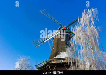 wind mill of Hinte in winter, Germany, Lower Saxony, East Frisia, Hinte Stock Photo