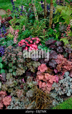 The planted border with mixed planting including Heuchera and Salvia in the Peak Reflections garden Stock Photo