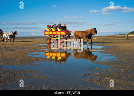 typical wadden carriages in wadden sea returning from Neuwerk, Germany, Lower Saxony, Sahlenburg Stock Photo