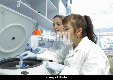 Biology lab technicians at work Stock Photo