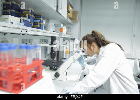 Biology lab technicians looking at test samples through microscope Stock Photo