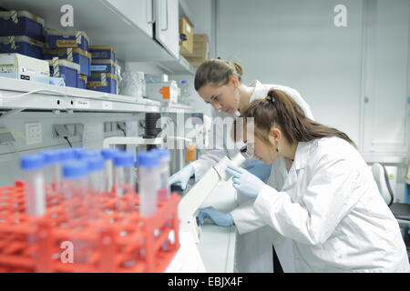 Biology lab technicians looking at test samples through microscope Stock Photo