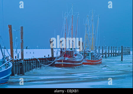fishing cutter in frozen harbour, Germany, Lower Saxony, Dorum-Neufeld Stock Photo