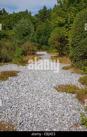 Ruegen flint fields, Germany, Mecklenburg-Western Pomerania, Ruegen, Neu-Murkan Stock Photo