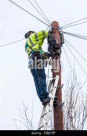 Broadband and telephone repairs. BT Openreach engineer at the top of a telegraph pole repairing phone line, Nottinghamshire, England, UK Stock Photo