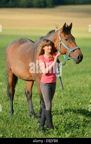 Hanoverian horse, German warmblood (Equus przewalskii f. caballus), young girl leading a horse over a meadow, Germany Stock Photo