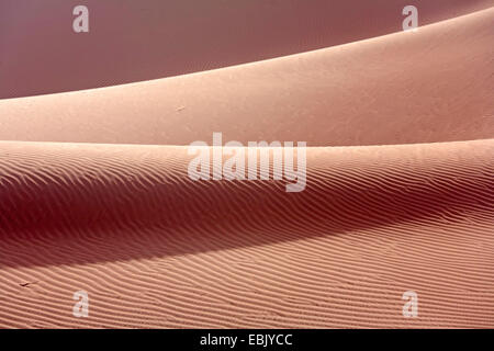 dune crest; dune ridge in the desert of South Morocco, Morocco, Souss-Massa-DaraÔ, Erg Chegaga Stock Photo