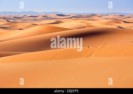 sand dunes in Sahara, Morocco, Souss-Massa-DaraÔ, Erg Chegaga Stock Photo