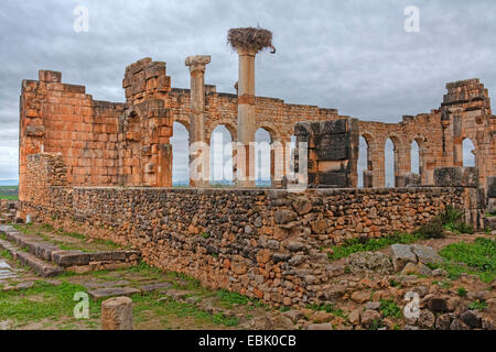 archaeological site Volubilis (Walili), house ruine, Morocco, Meknes Stock Photo