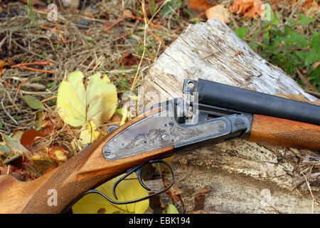 A wooden retro shotgun in autumn style close Stock Photo