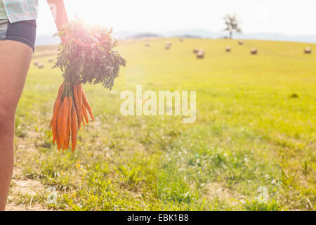 Cropped shot of young woman carrying bunch of fresh carrots in field Stock Photo