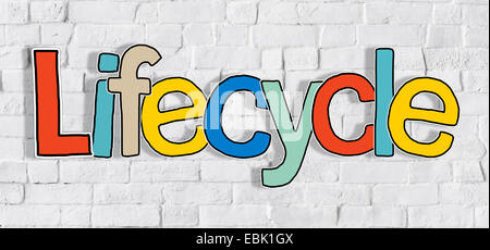 Lifecycle Brick wall Single Word Text Background Clean Concept Stock Photo