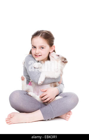 little girl with a border collie in front of a white background Stock Photo