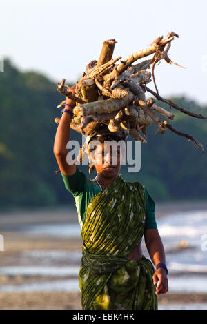 Indian woman with firewood on her head, India, Andaman Islands Stock Photo
