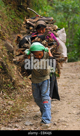 children carrying heavy load, Guatemala, Atitlan lake
