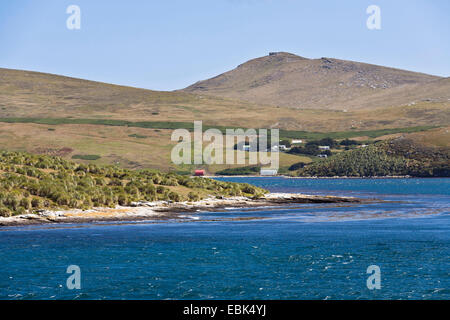 panoramic view over the coast of Westpoint Island, Falkland Islands Stock Photo