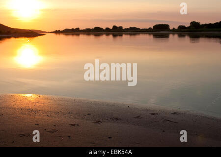 sunset over river Elbe with a duck track in the shore mud, Germany Stock Photo