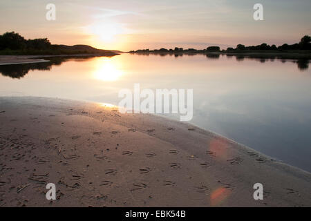 sunset over river Elbe with a duck track in the shore mud, Germany Stock Photo