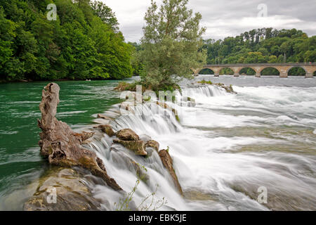 the Rhine Falls near Schaffhausen, Switzerland, Schaffhausen Stock Photo