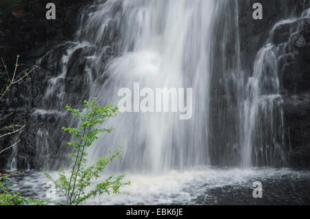 Glenashdale Falls on Arran Island, United Kingdom, Scotland Stock Photo