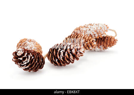 some snowy pine cones in a string on a white background Stock Photo