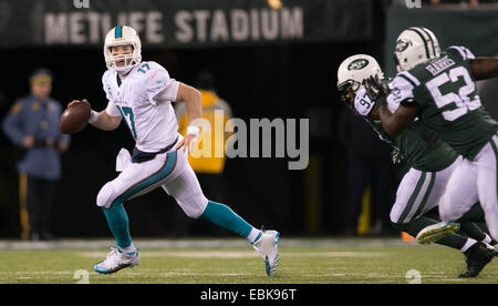 Dec. 2, 2014 - East Rutherford, Florida, U.S. - Miami Dolphins quarterback Ryan Tannehill (17) rolls out against the Jets at MetLife Stadium in East Rutherford, New Jersey on December 1, 2014. (Credit Image: © Allen Eyestone/The Palm Beach Post/ZUMA Wire) Stock Photo