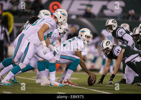 Dec. 2, 2014 - East Rutherford, Florida, U.S. - Miami Dolphins long snapper John Denney (92) at MetLife Stadium in East Rutherford, New Jersey on December 1, 2014. (Credit Image: © Allen Eyestone/The Palm Beach Post/ZUMA Wire) Stock Photo