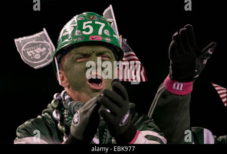 Dec. 2, 2014 - East Rutherford, Florida, U.S. - A Jets fan at MetLife Stadium in East Rutherford, New Jersey on December 1, 2014. (Credit Image: © Allen Eyestone/The Palm Beach Post/ZUMA Wire) Stock Photo