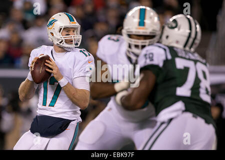 Dec. 1, 2014 - East Rutherford, Florida, U.S. - Miami Dolphins quarterback Ryan Tannehill (17) drops back to pass at MetLife Stadium in East Rutherford, New Jersey on December 1, 2014. (Credit Image: © Allen Eyestone/The Palm Beach Post/ZUMA Wire) Stock Photo