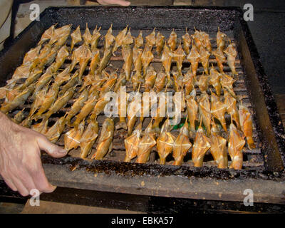 char, charr, Arctic char, Arctic charr (Salvelinus alpinus salvelinus), man holding a grill full of smoked fishes in hand, Germany, Bavaria, Koenigssee Stock Photo