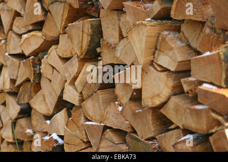 Scotch pine, Scots pine (Pinus sylvestris), stacked fuelwood, Germany Stock Photo