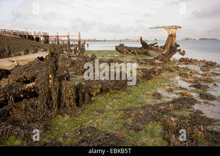 old wooden wreck on the beach, Netherlands, Zeeland Stock Photo