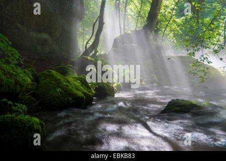 sunbeams breaking through fog over river, Germany, Saxony, Vogtlaendische Schweiz Stock Photo