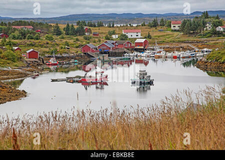 little harbour in the fiord with fishing boats , Norway, Hitra, Fillan Stock Photo