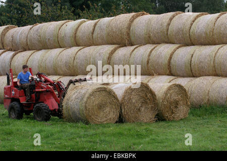bales of straw, Germany Stock Photo